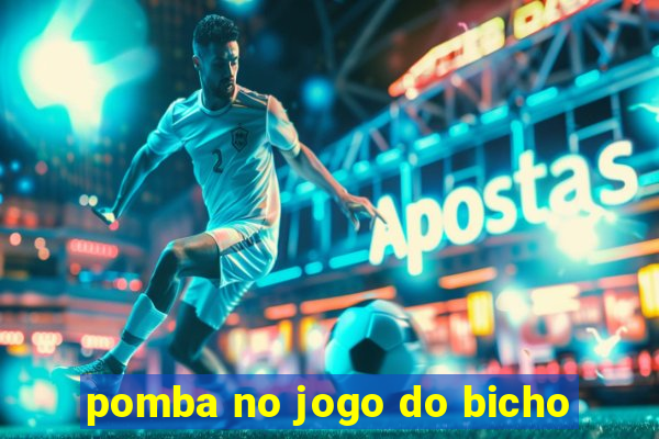 pomba no jogo do bicho